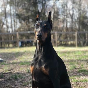 Meet your Posher, Jeri